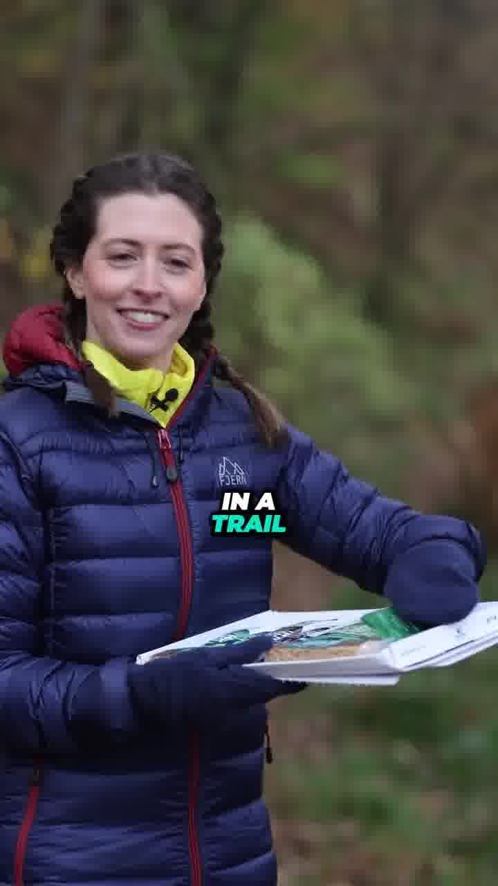 Kendal Mint Co ad. Angle: Taster pack: 10 best-sellers for under £20