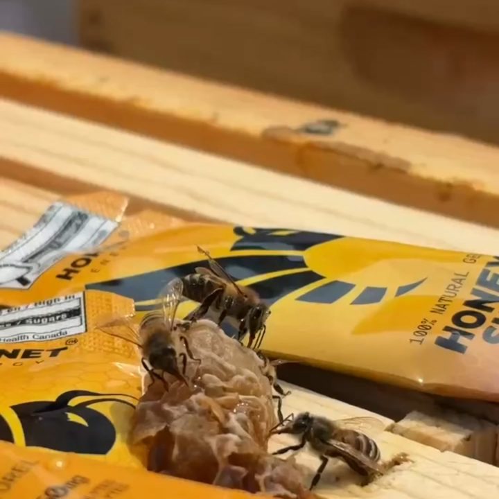 Hornet Energy ad. Angle: Founders' story: every gel wrecked our stomachs and we were told that's normal