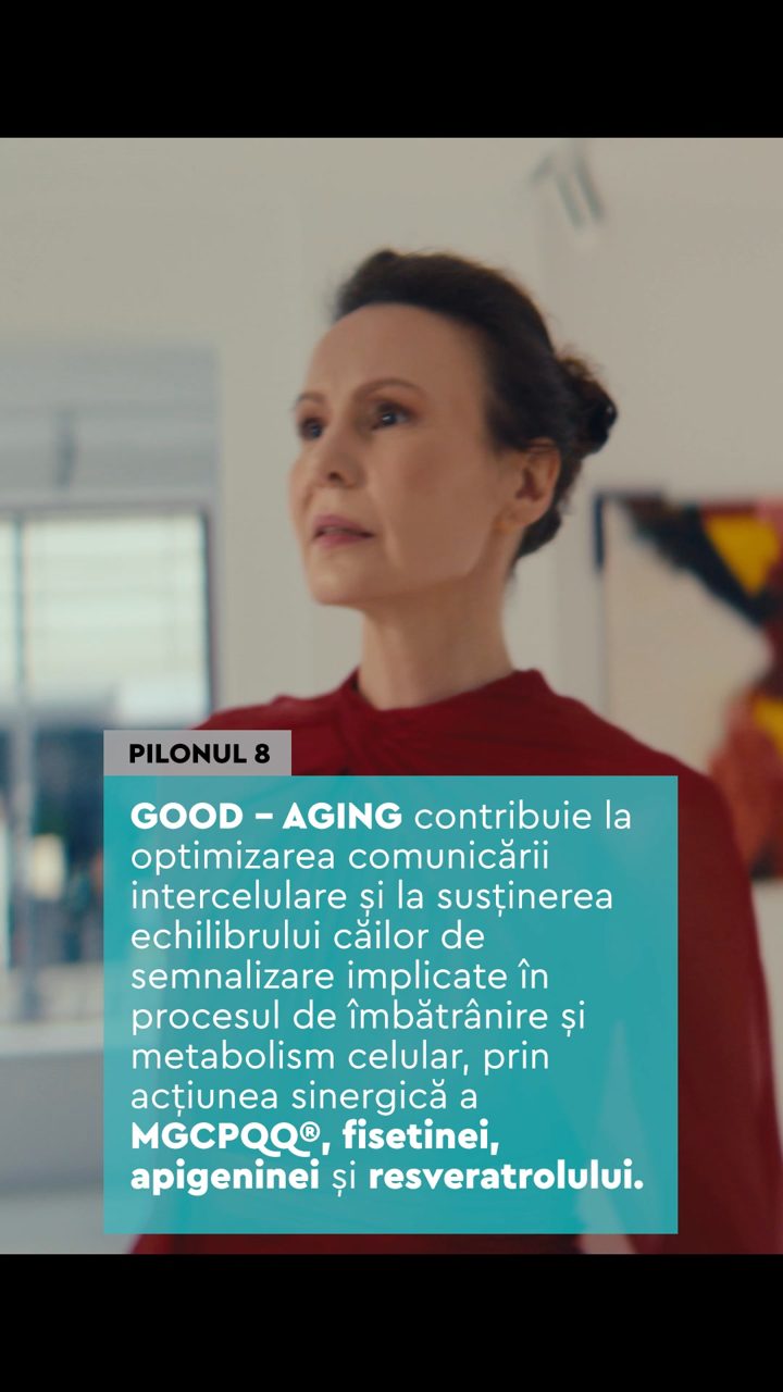 Secom ad. Angle: Nine pillars of ageing, one formula